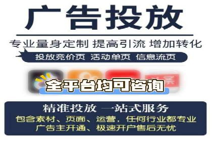行业报告：专业SEM托管的成功实践与挑战